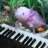 SuN -axolotl-